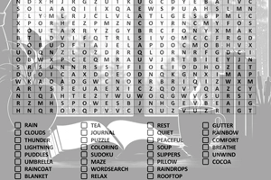 Rainy Day Reset Word Search
