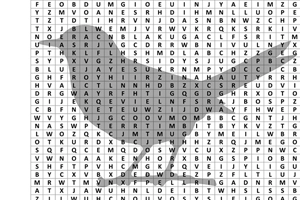 Backyard Birds Word Search