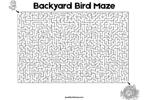 Backyard Birds Maze