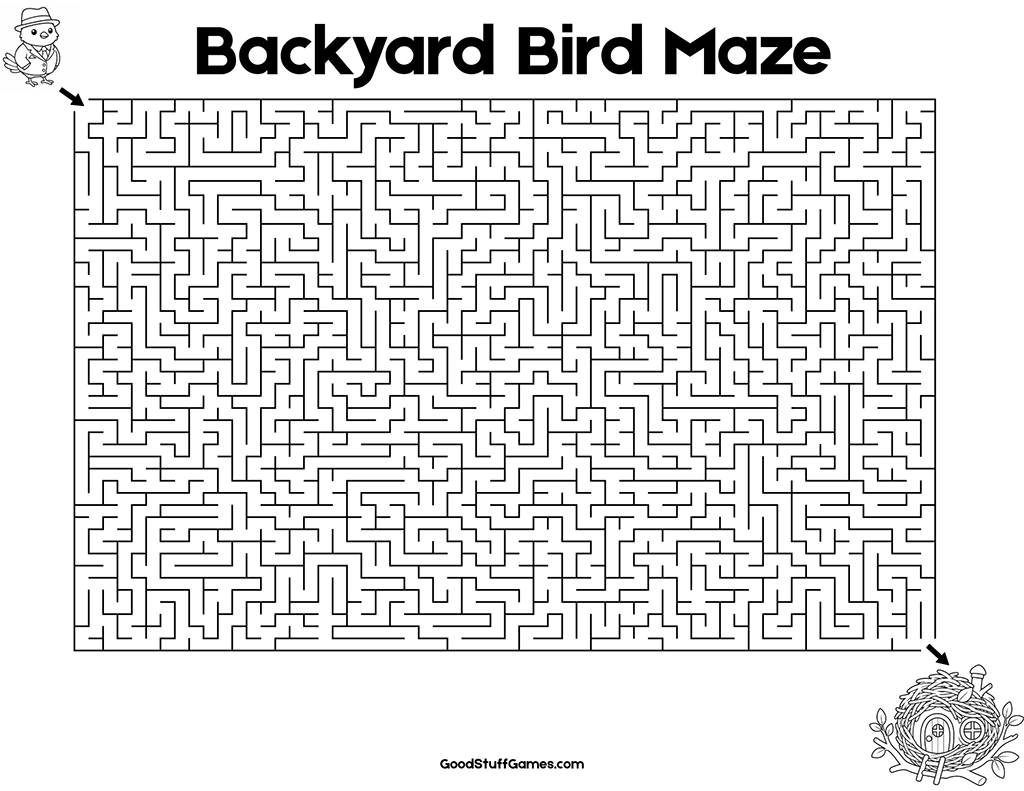 Backyard Bird Maze
