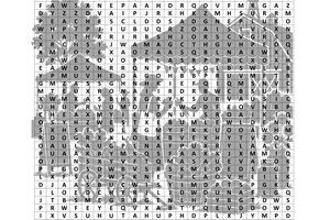 Farmers Market Word Search