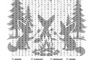 Campfire Nights Word Search