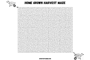 Home Grown Harvest Maze